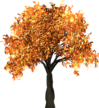 Logo boomknuffelaar